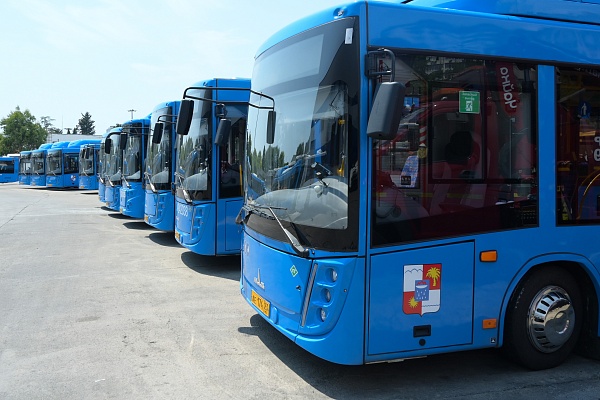Перевозчиками Сочи подана заявка на закупку 80 новых пассажирских автобусов