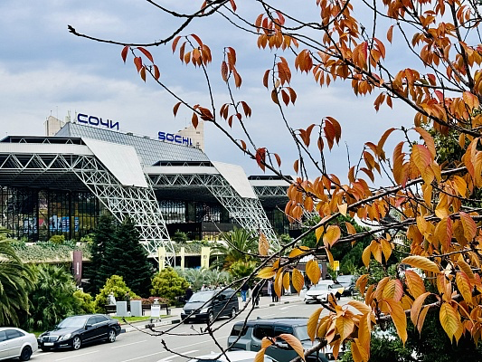 Международному аэропорту Сочи исполнилось 80 лет