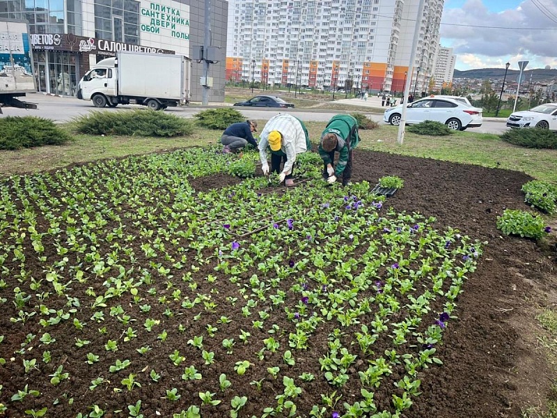 Анапа готовится к зиме, но красок меньше не станет