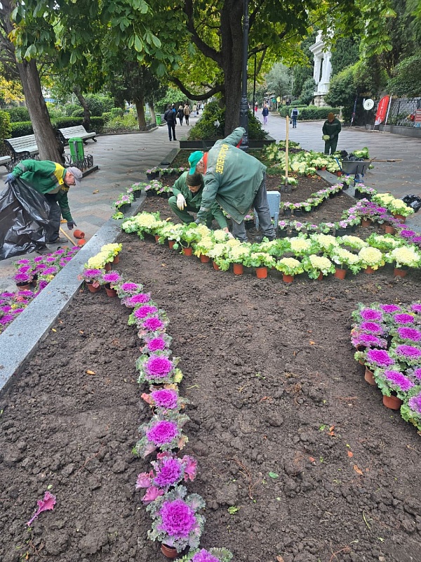 В Ялте продолжаются осенние высадки растений