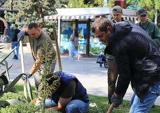 В Ялте стартовало осеннее цветочное оформление