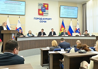 В этом году улицы Сочи украсят более 30 тысяч саженцев