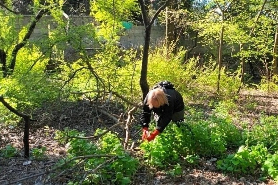Более 2,5 тысяч ялтинцев вышли на Всероссийский субботник